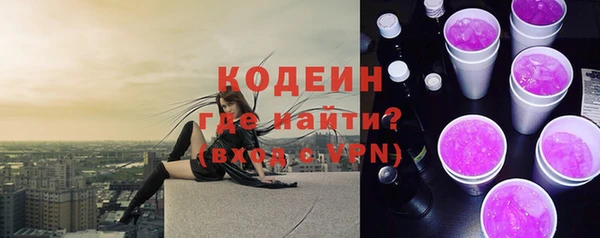 индика Заводоуковск