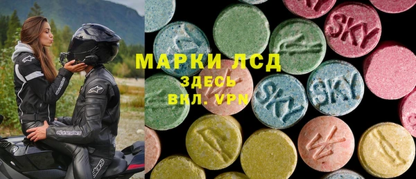 индика Заводоуковск