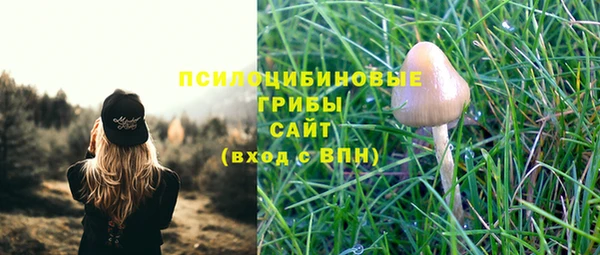 гашик Тольятти