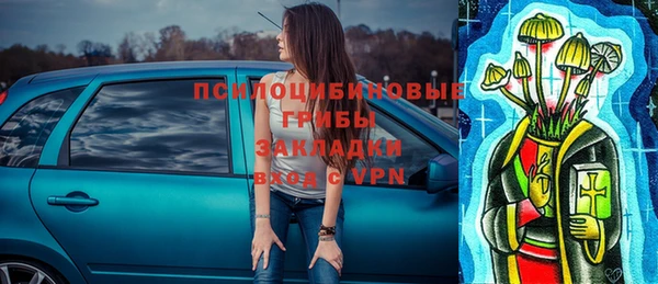 индика Заводоуковск