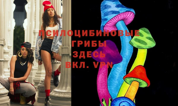 индика Заводоуковск
