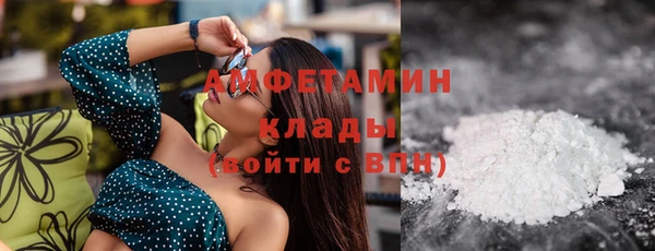 индика Заводоуковск