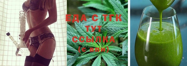 индика Заводоуковск