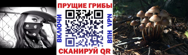 OMG зеркало  Спас-Деменск  Псилоцибиновые грибы Magic Shrooms  где купить наркоту 